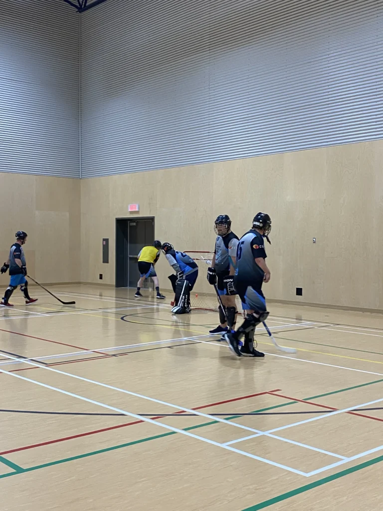 Match de hockey en salle avec plusieurs joueurs.